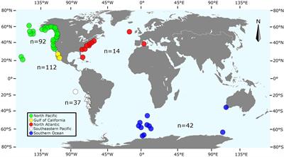 Contrasting Phylogeographic Patterns Among Northern and Southern Hemisphere Fin Whale Populations With New Data From the Southern Pacific